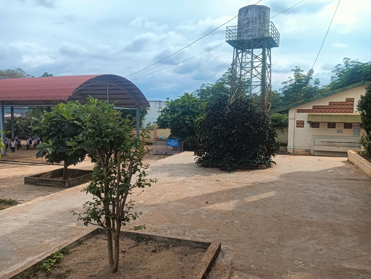 TRƯỜNG TH NGÔ GIA TỰ THỰC HIỆN KẾ HOẠCH TRỒNG CÂY XANH À TRỒNG HOA TRONG KHUÔN VIÊN TRƯỜNG HỌC